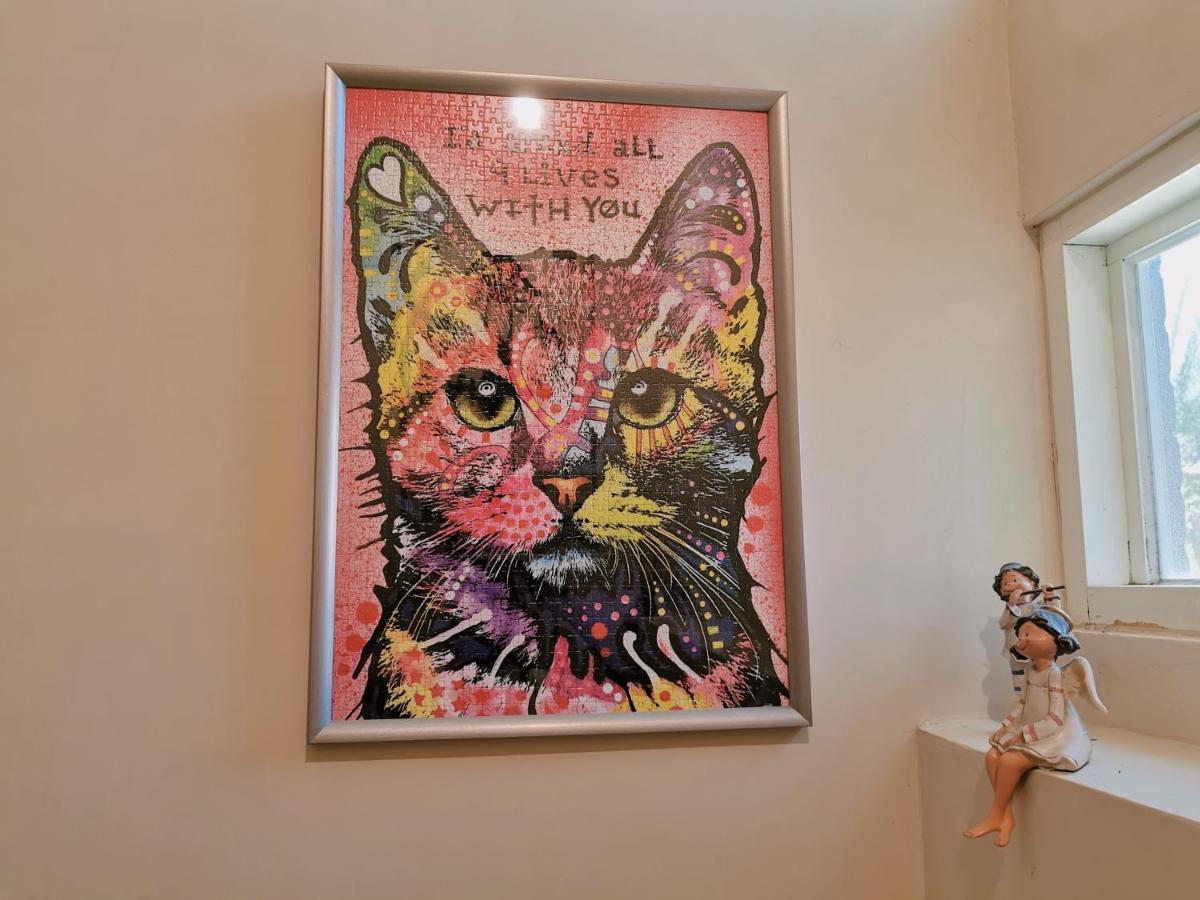 Yilan Beitou No.117 Bed & Breakfast Luodong Dış mekan fotoğraf